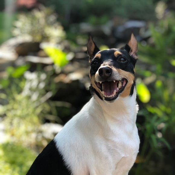 Meet Your Posher, Emma! 🔅 - Picture 5 of 9